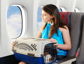Доставка животных самолетом